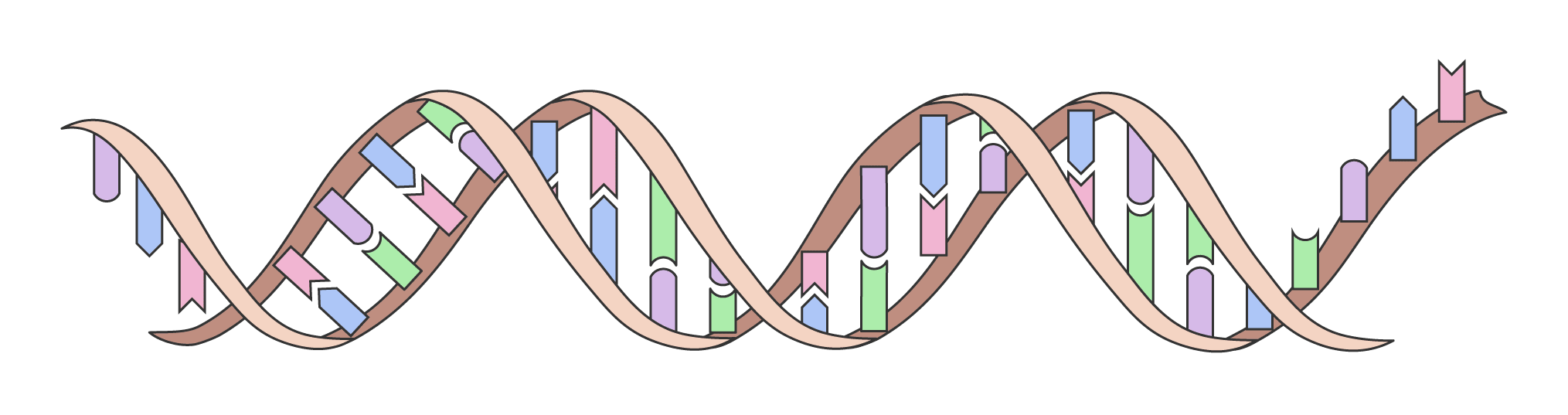 An image in a quiz