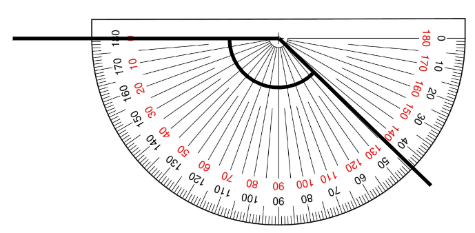 An image in a quiz