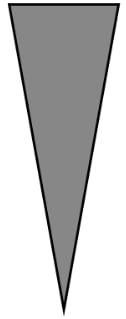 An image in a quiz
