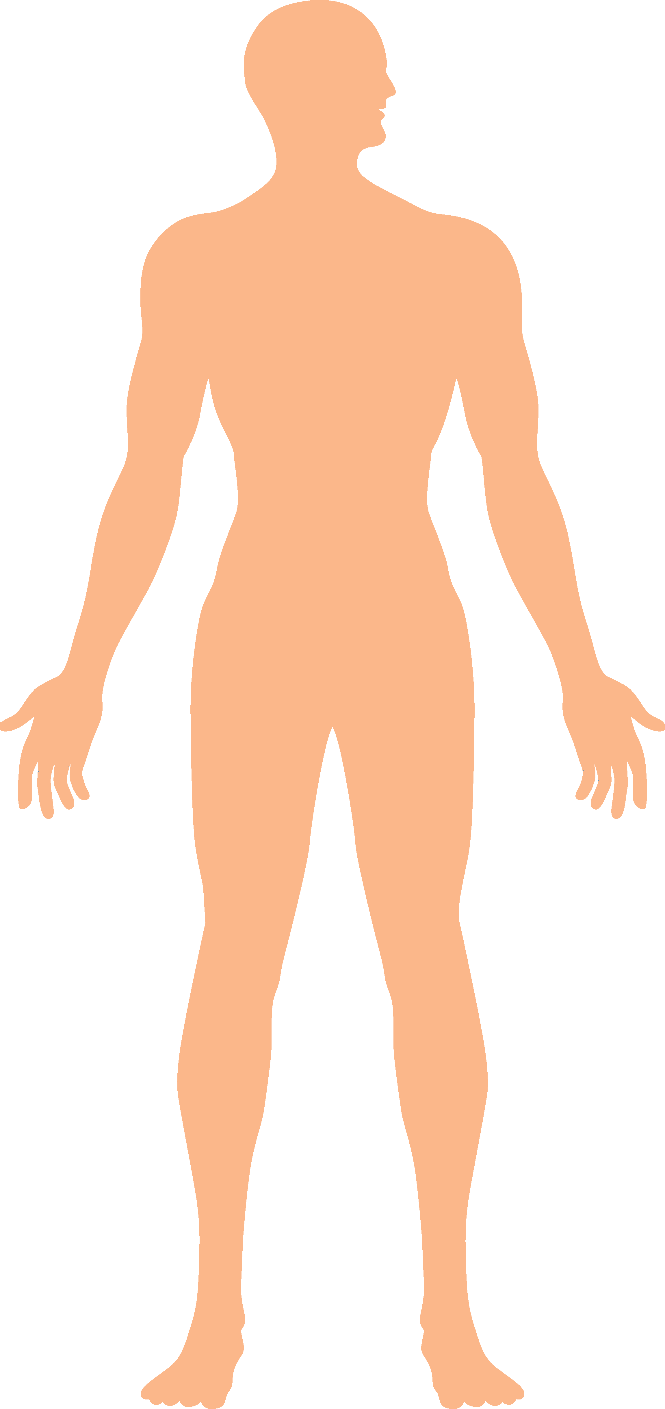 An image in a quiz