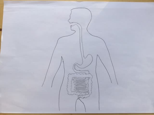 An image in a quiz