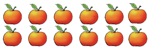 An image in a quiz