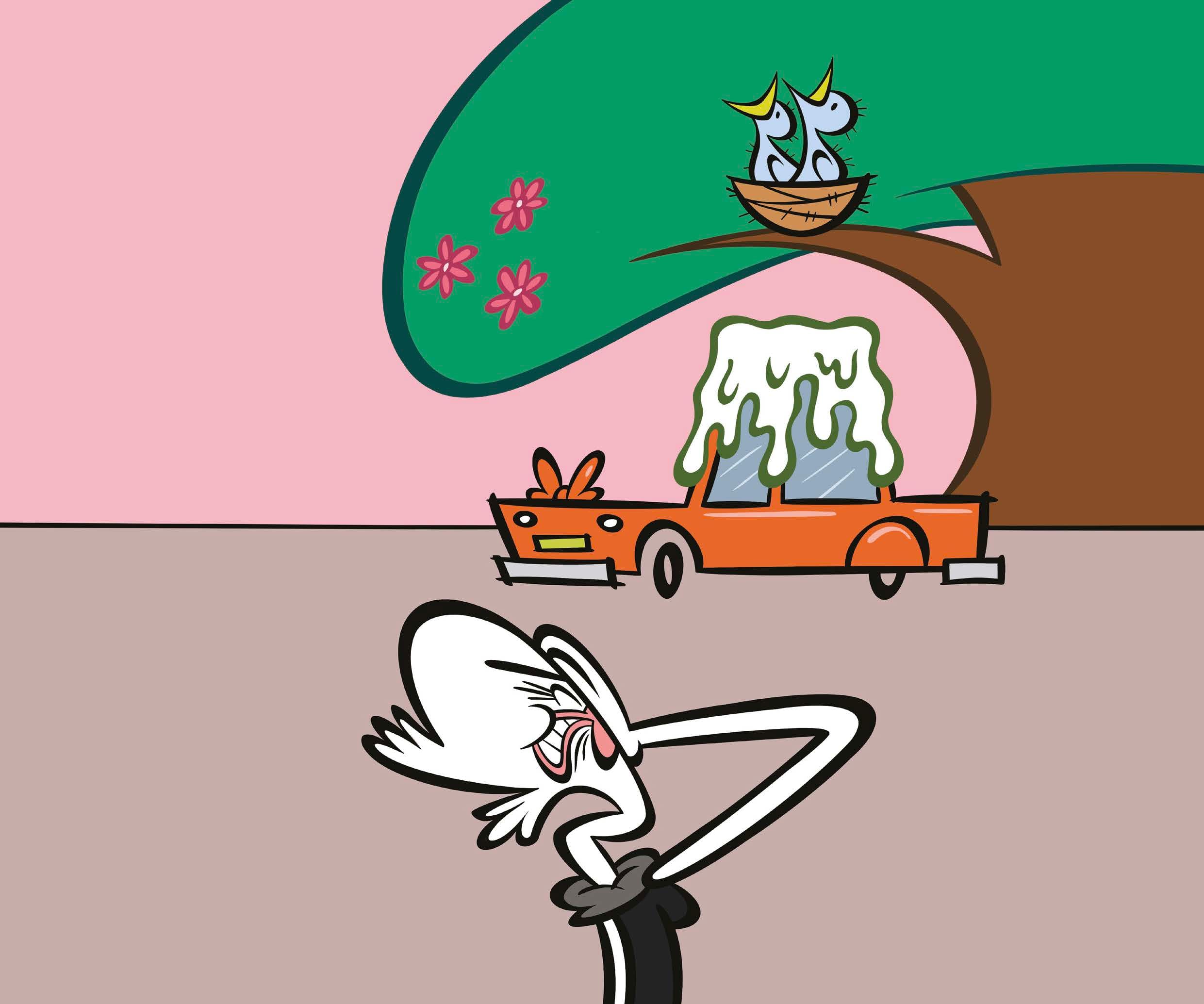 An image in a quiz
