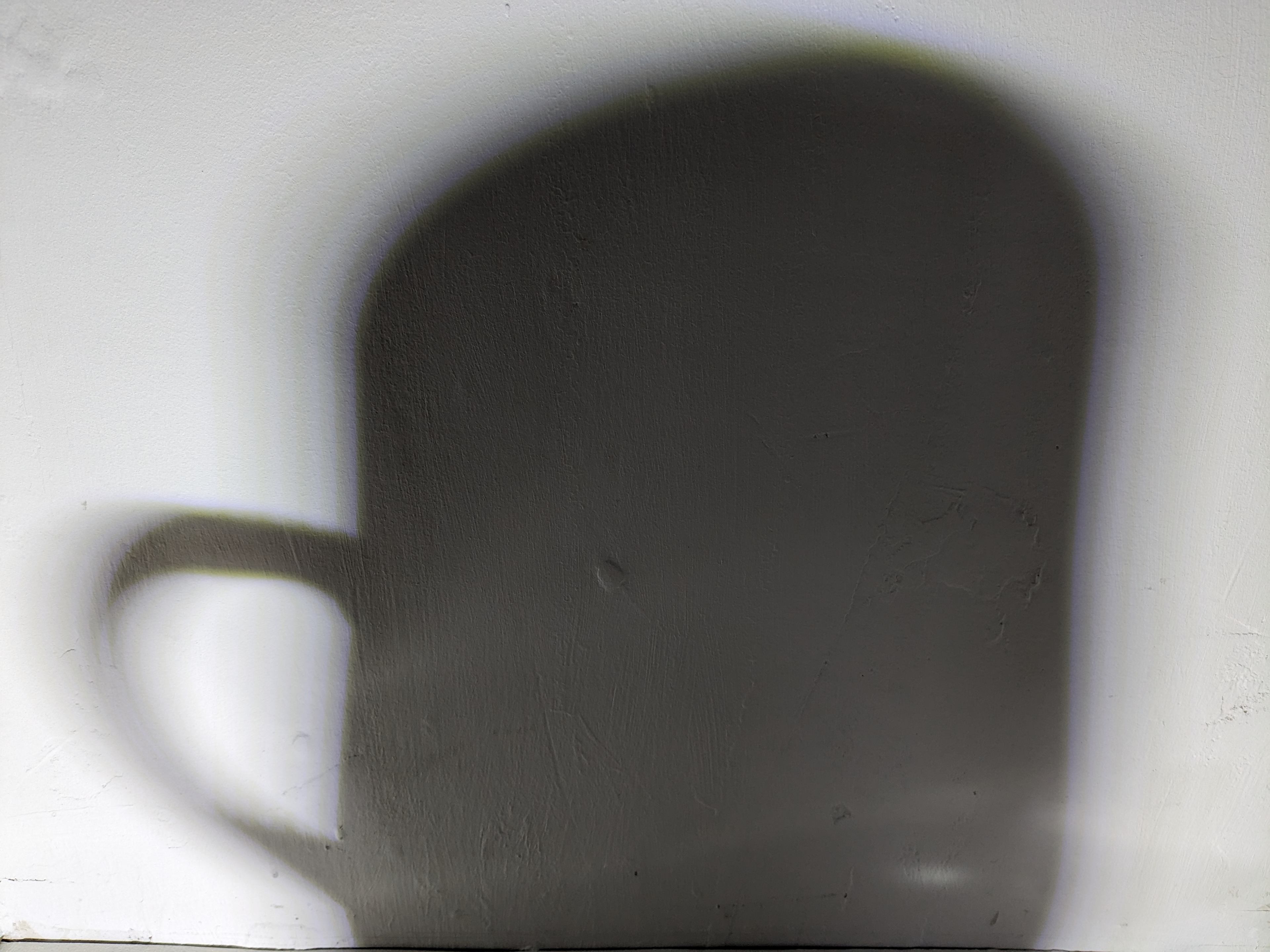 An image in a quiz