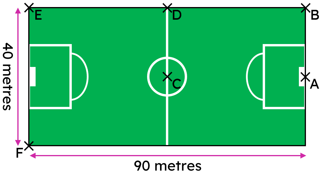 An image in a quiz