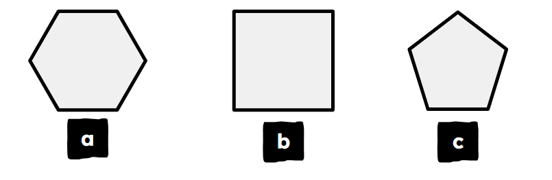An image in a quiz