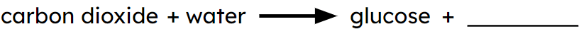 An image in a quiz