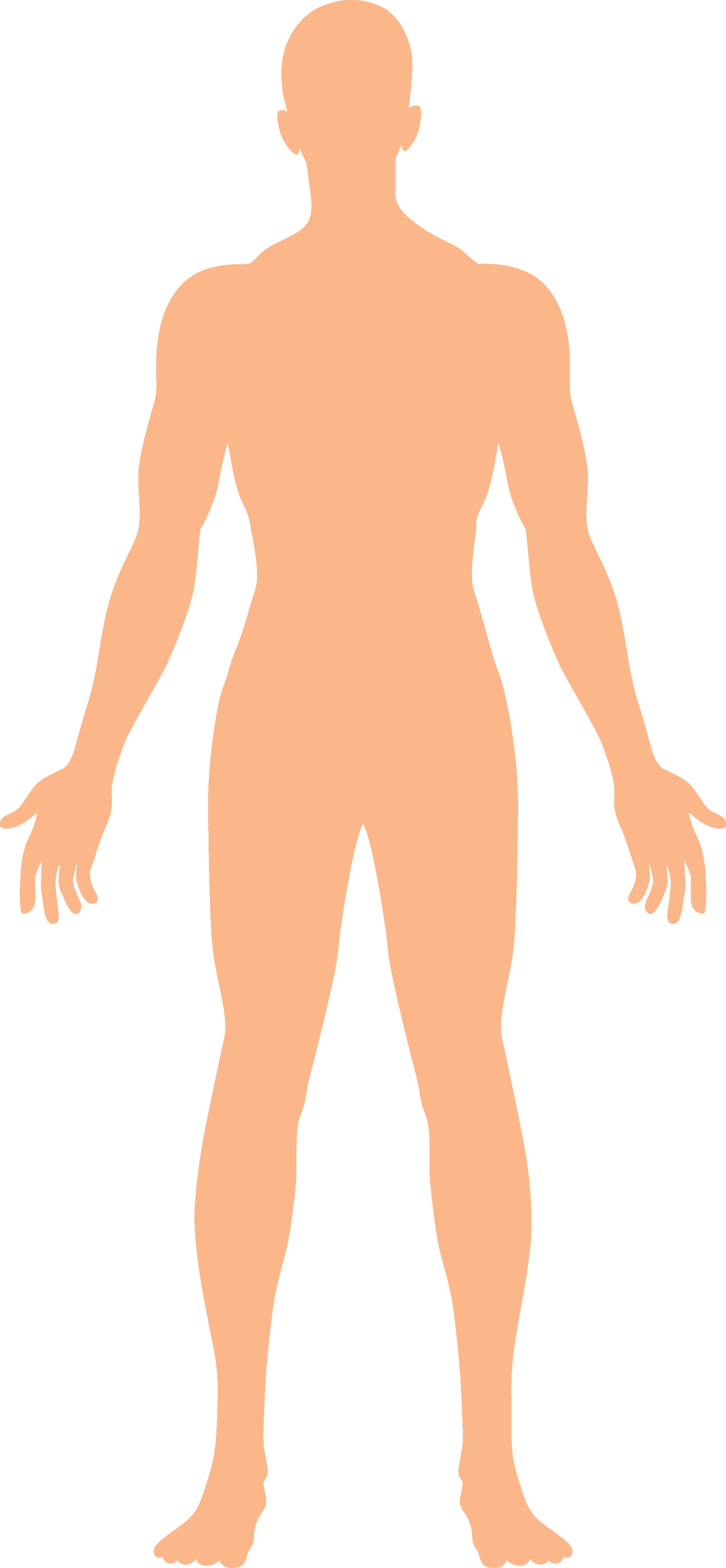 An image in a quiz