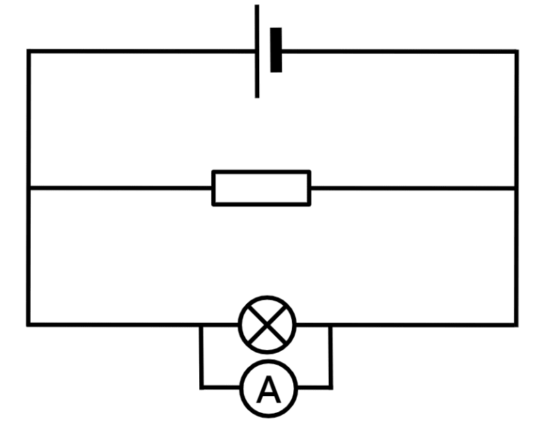 An image in a quiz