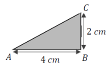 An image in a quiz