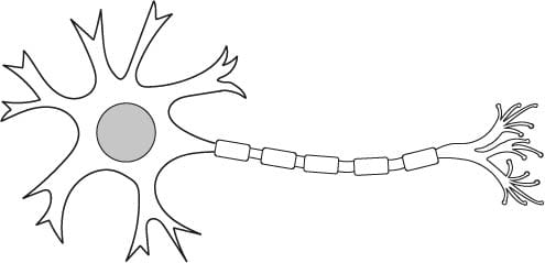 An image in a quiz