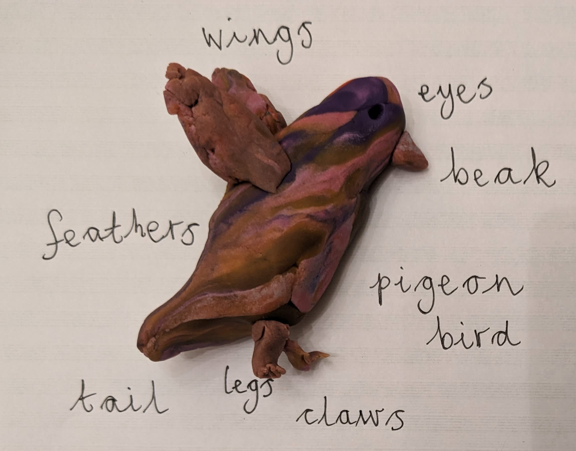 An image in a quiz