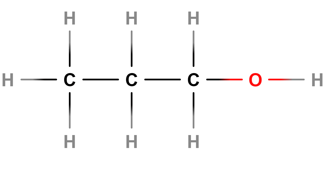 An image in a quiz