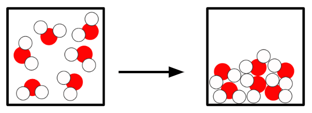 An image in a quiz