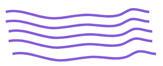 An image in a quiz