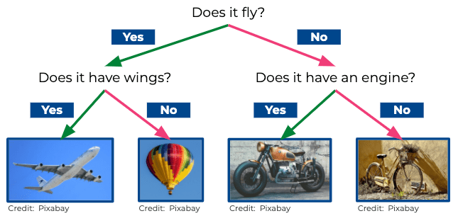 An image in a quiz