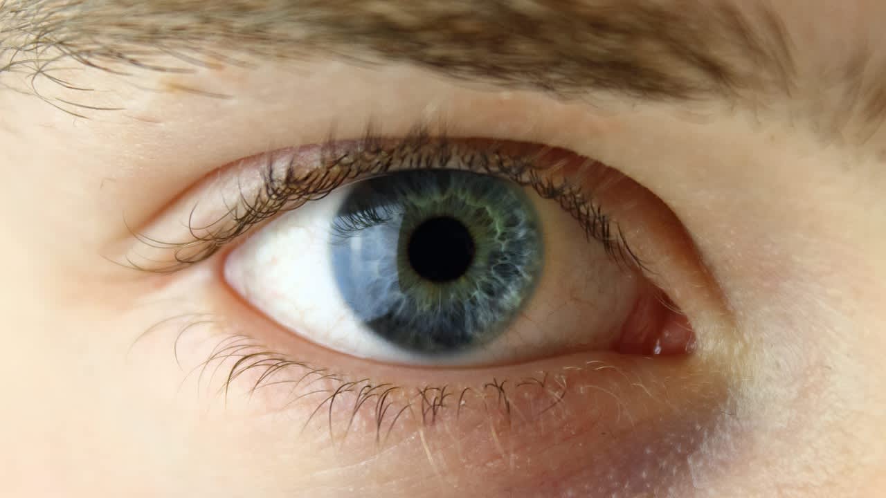 An image in a quiz