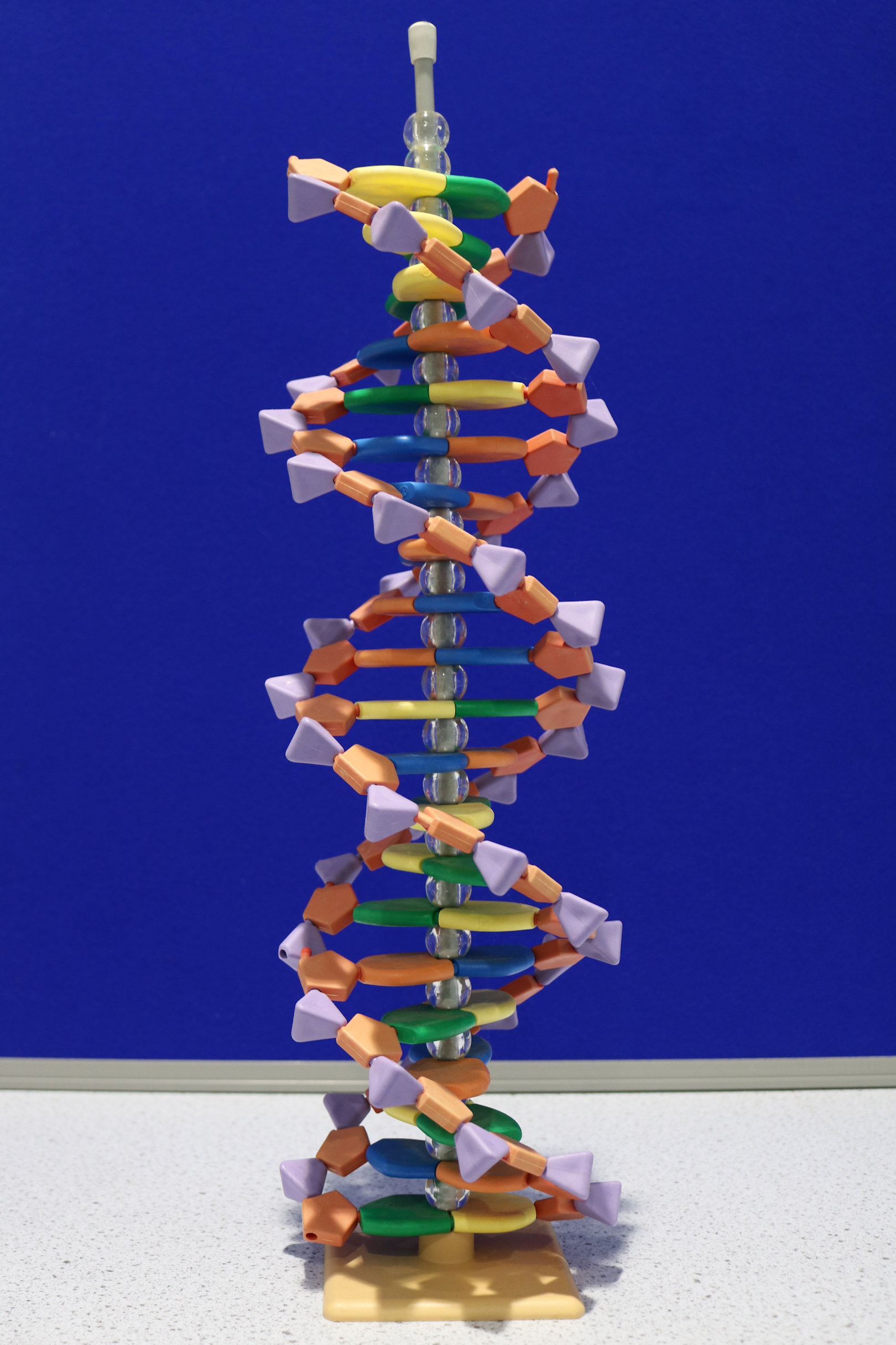 a model of a multicolored structure with a toothbrush sticking out of the top of the structure