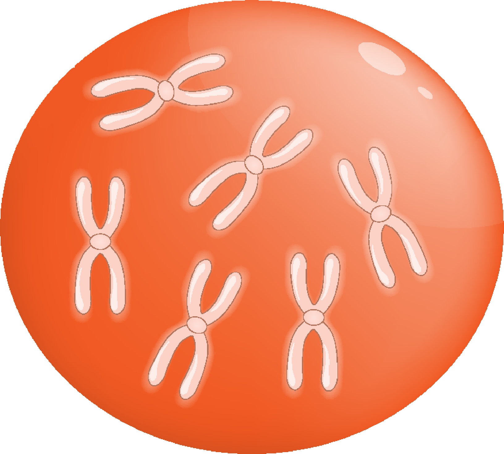 an orange ball with a bunch of white bows on it's top and a white bow on the bottom of the ball