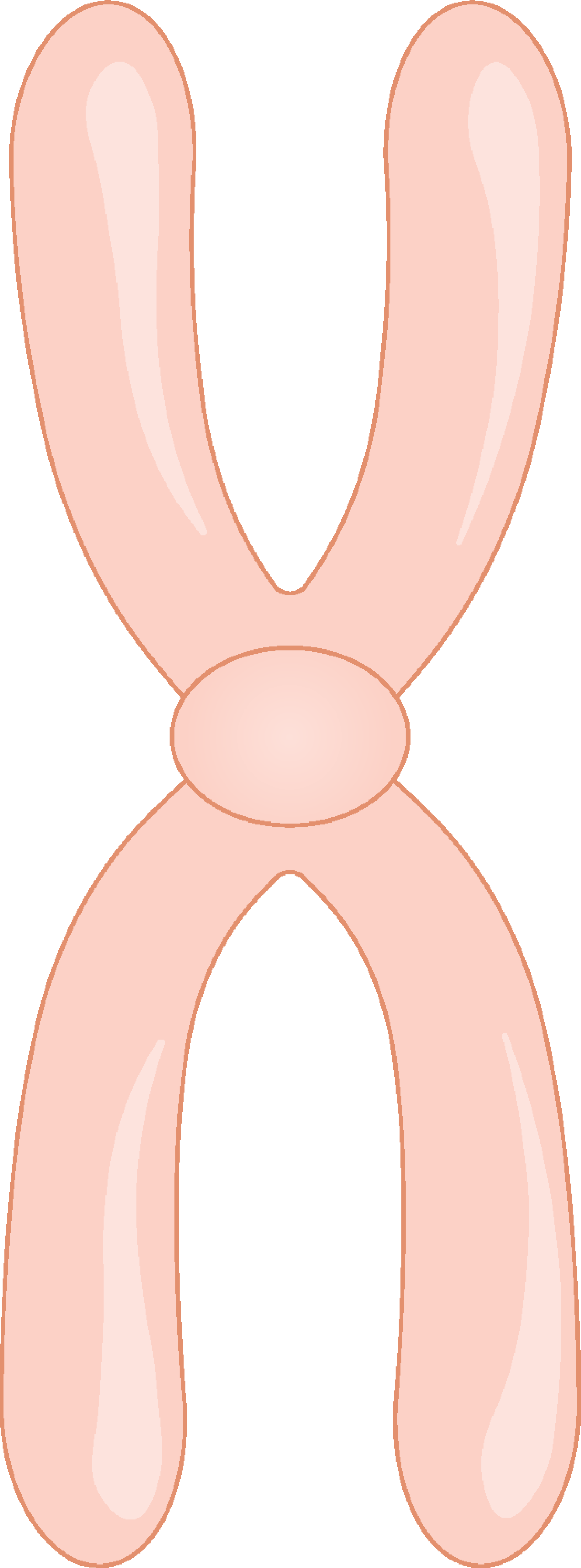 a pink object that is shaped like the letter o, with a curved design on the front of it